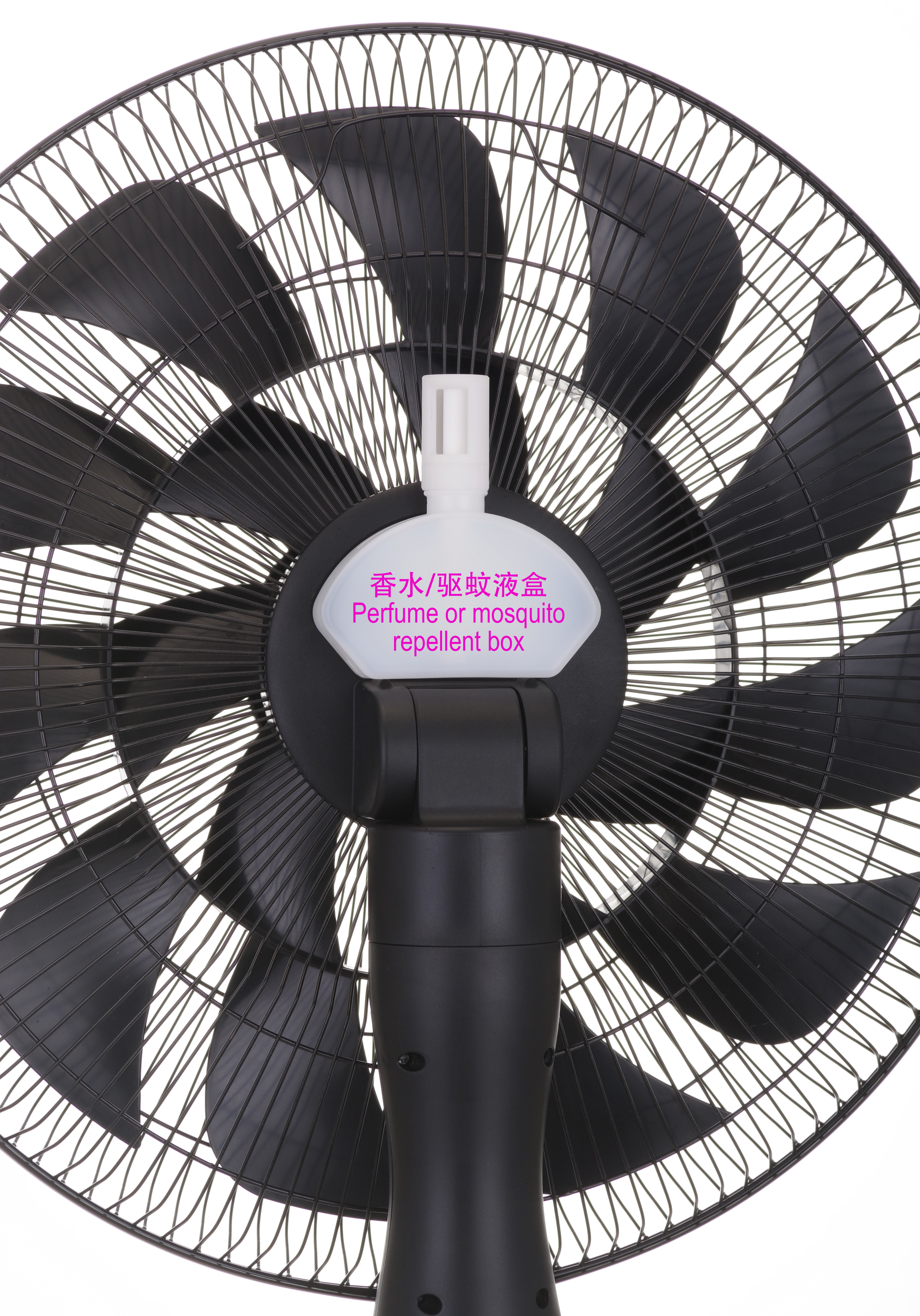 Innovated Fan