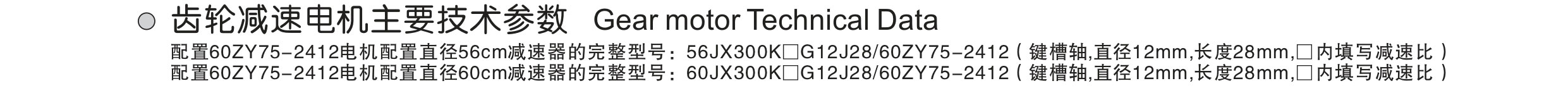 a-23-PMDC-Planetary-Geared-Motor-56(60)JX300K-6075_page-0001_05