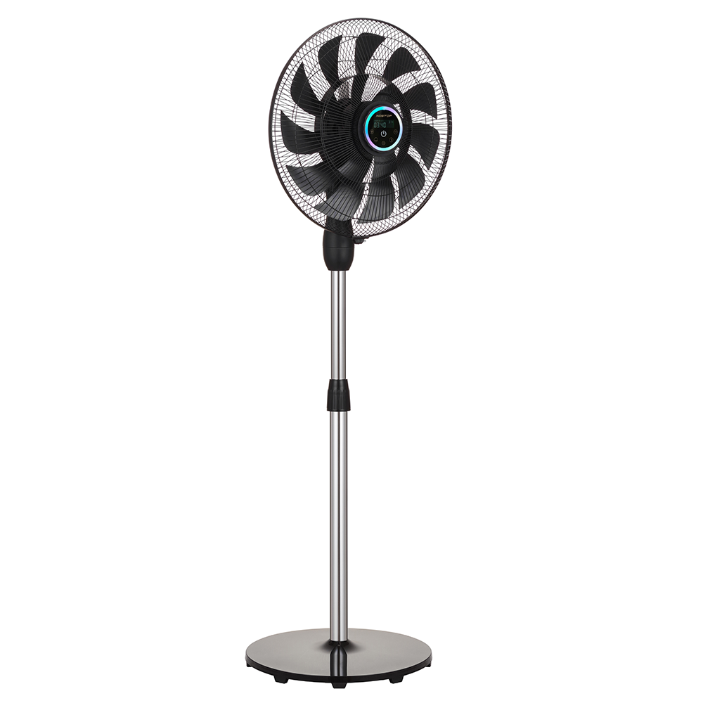 Innovated Fan